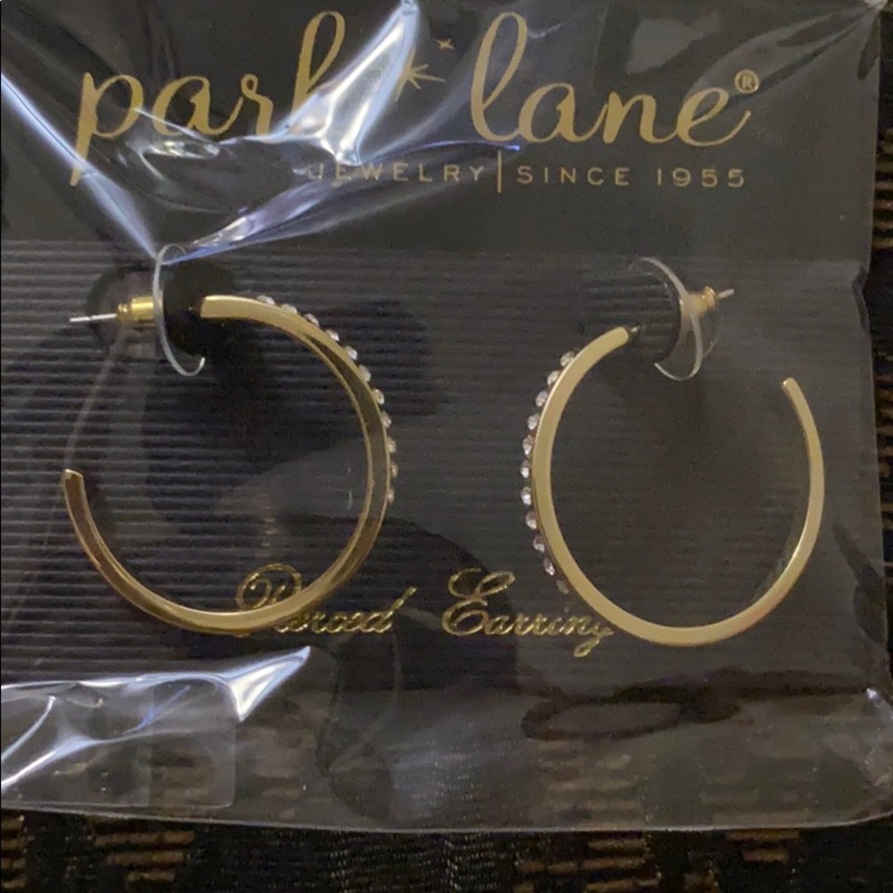 Park Lane Glo Earrings